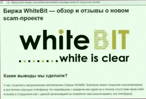 White Bit - это организация, сотрудничество с которой доставляет только лишь убытки (обзор)