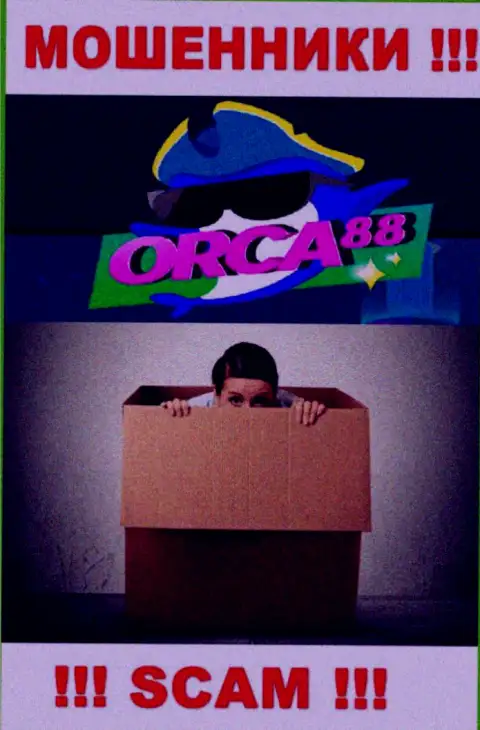 Начальство Орка88 Ком в тени, у них на официальном информационном ресурсе о себе информации нет