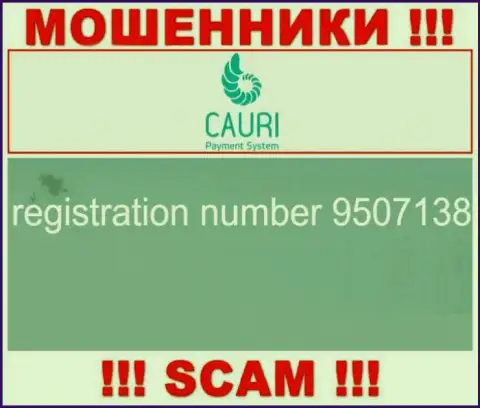 Номер регистрации, который принадлежит преступно действующей конторе Каури - 9507138