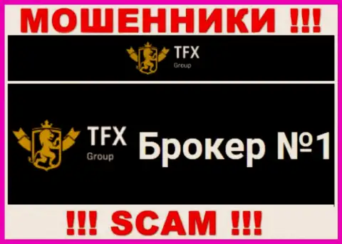 Не стоит доверять денежные активы TFX-Group Com, поскольку их область работы, ФОРЕКС, обман