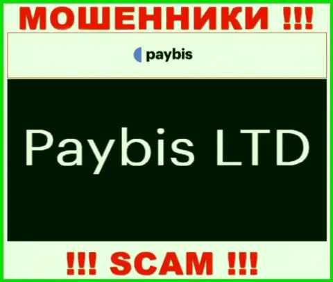 ПэйБис Лтд владеет конторой PayBis Com - это КИДАЛЫ !!!
