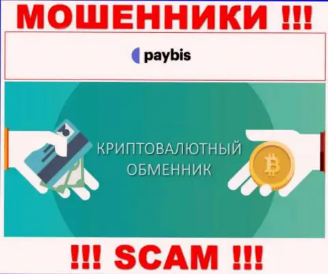 Crypto exchanger это направление деятельности жульнической компании Paybis LTD