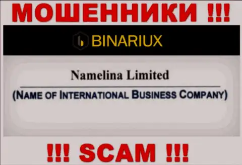 Binariux Net - это аферисты, а руководит ими Намелина Лтд