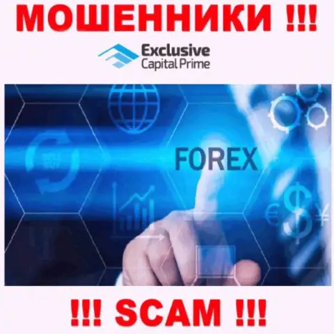 ФОРЕКС - это вид деятельности неправомерно действующей конторы ExclusiveCapital