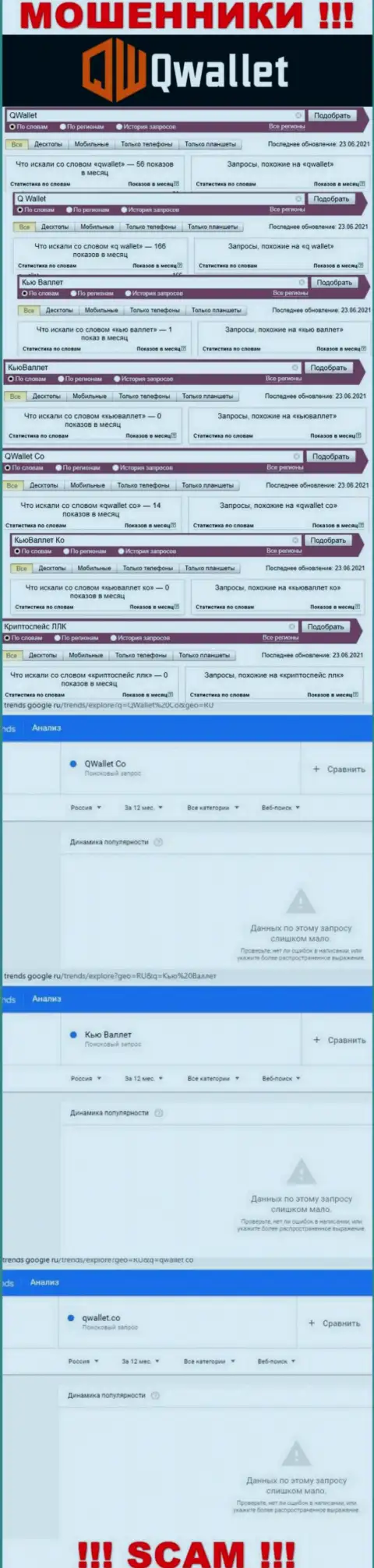 Статистика поисковых запросов по бренду Q Wallet в глобальной internet сети