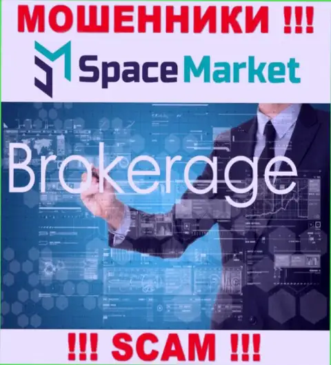 Направление деятельности мошеннической организации Space Market - это Broker