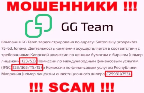 Слишком рискованно доверять конторе GG Team, хоть на сайте и представлен ее номер лицензии