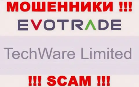 Юридическим лицом ЭвоТрейд Ком считается - TechWare Limited