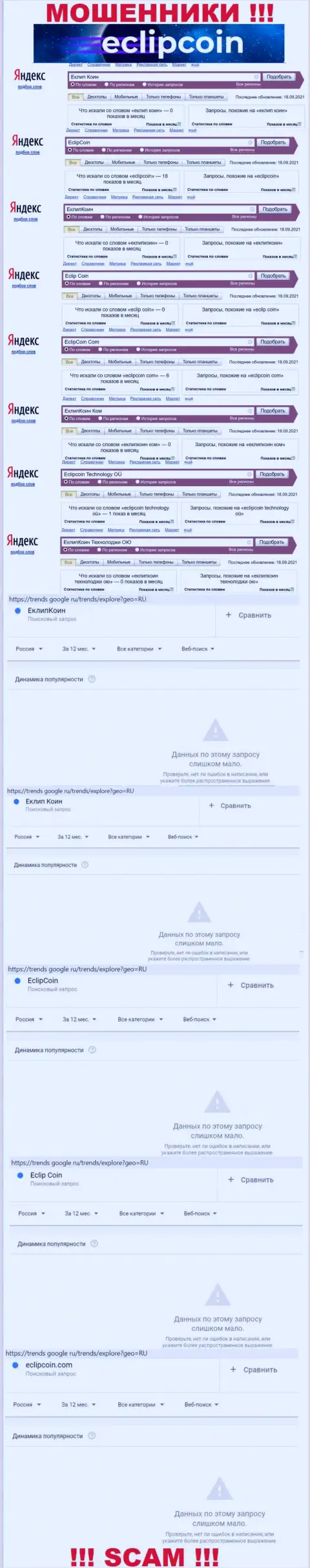 Сколько именно раз пользователи глобальной сети пытались найти информацию о кидалах EclipCoin Com ???
