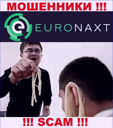 EuroNaxt Com делают попытки развести на совместное взаимодействие ? Будьте крайне внимательны, дурачат