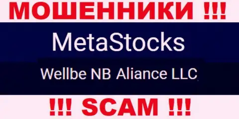 Юридическое лицо интернет мошенников MetaStocks Co Uk - это Веллбе НБ Альянс ЛЛК