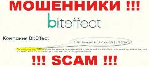 Будьте весьма внимательны, направление деятельности BitEffect, Система платежей - это обман !