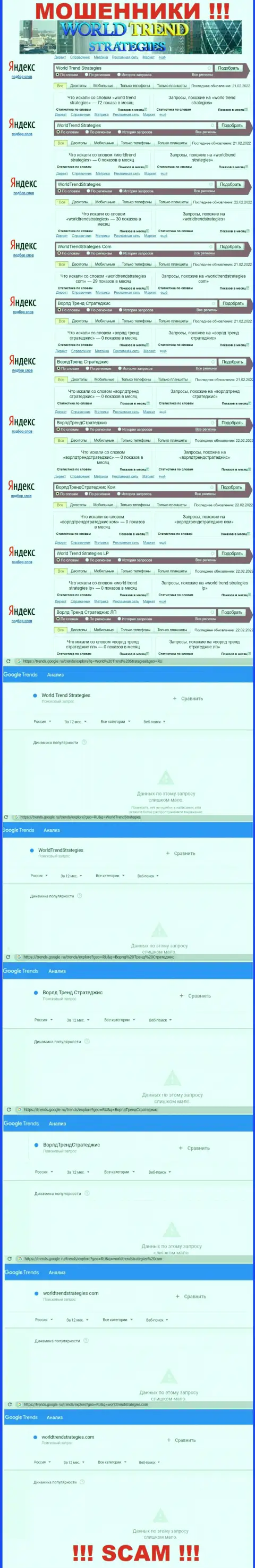 Сколько именно раз пользователи глобальной сети пытались найти сведения о ворюгах World Trend Strategies ?