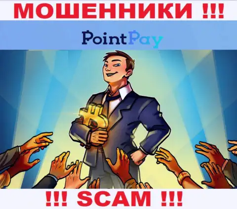 Point Pay - это РАЗВОД !!! Завлекают жертв, а после этого сливают их депозиты
