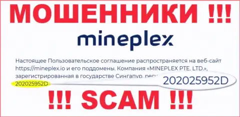 Номер регистрации еще одной противоправно действующей конторы Mine Plex - 202025952D