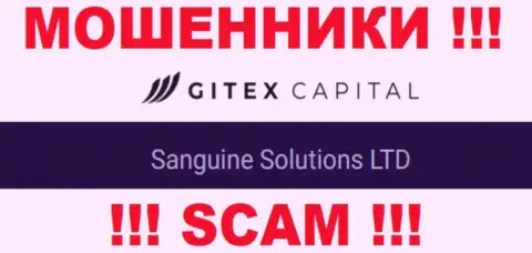 Юр лицо Гитекс Капитал - это Sanguine Solutions LTD, такую информацию предоставили аферисты у себя на онлайн-сервисе