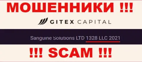 Регистрационный номер организации Gitex Capital: 1328 LLC 2021