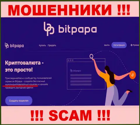 Сфера деятельности мошеннической компании BitPapa Com - это Криптокошелек