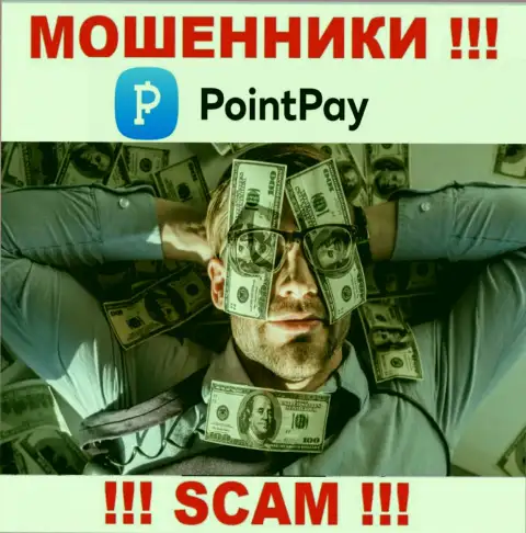 Сведения об регулирующем органе компании Point Pay не отыскать ни у них на сервисе, ни в сети интернет