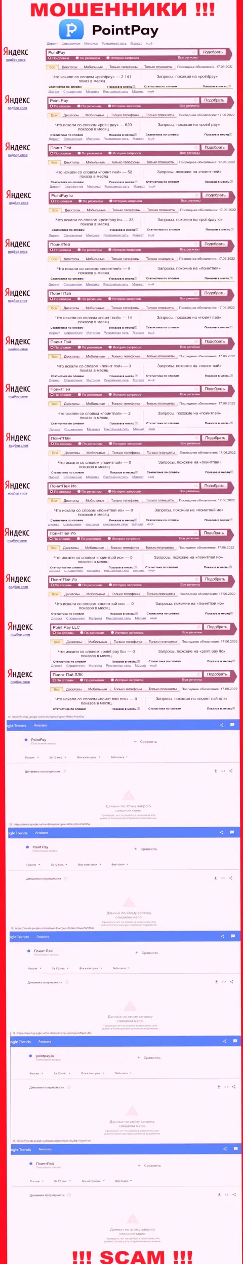 Статистика онлайн запросов по мошенникам ПоинтПай в интернет сети