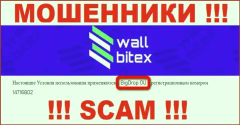 WallBitex - это АФЕРИСТЫ !!! Управляет указанным лохотроном БигДроп ОЮ