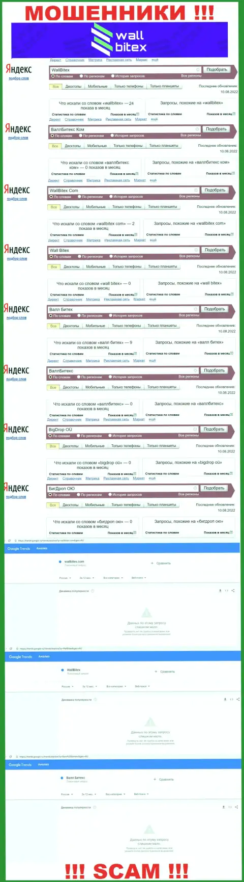 Статистические показатели по бренду WallBitex Com, сколько лохов заинтересовались этими шулерами