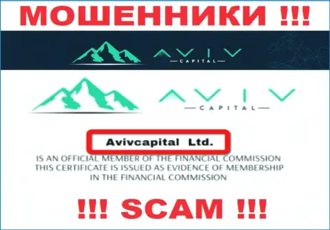 Вот кто владеет организацией АвивКапитал Лтд - это AvivCapital Ltd