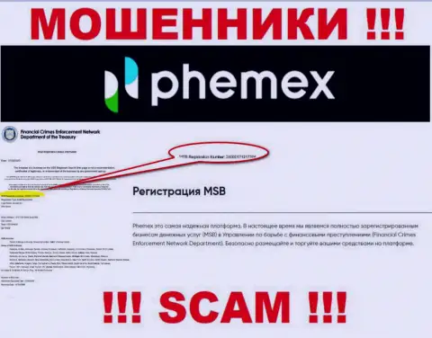 Номер регистрации организации, владеющей ПемЕХ - 310000171217304