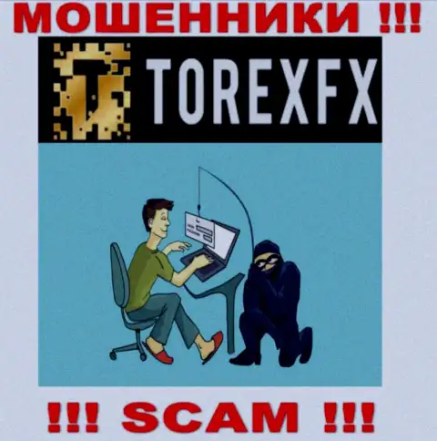 Обманщики TorexFX Com могут попытаться развести Вас на деньги, только имейте в виду - это крайне рискованно