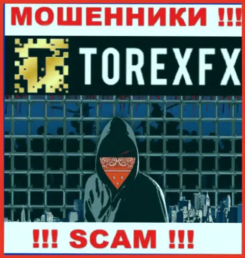TorexFX не разглашают информацию об руководителях организации